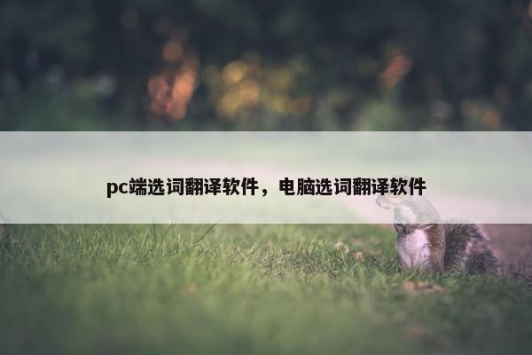 pc端选词翻译软件，电脑选词翻译软件