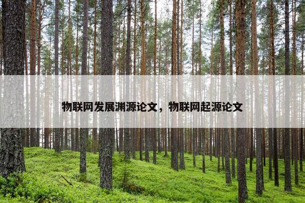 物联网发展渊源论文，物联网起源论文