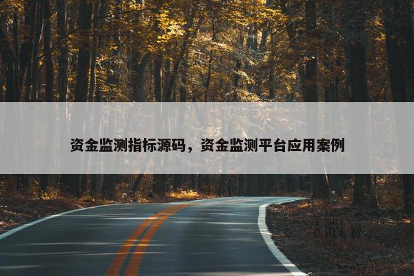 资金监测指标源码，资金监测平台应用案例
