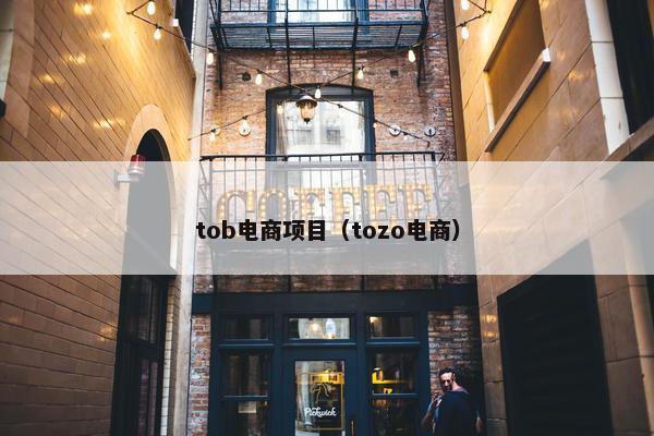 tob电商项目（tozo电商）