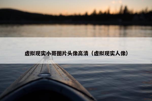 虚拟现实小哥图片头像高清（虚拟现实人像）