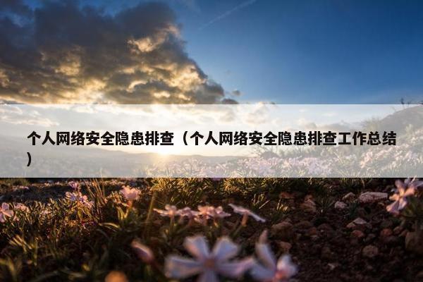 个人网络安全隐患排查（个人网络安全隐患排查工作总结）