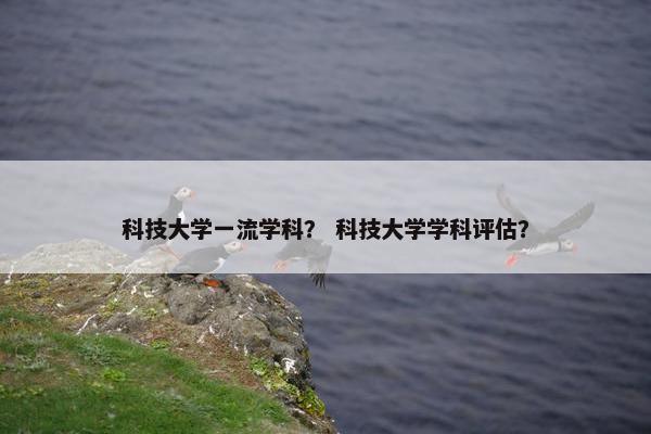 科技大学一流学科？ 科技大学学科评估？