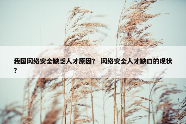 我国网络安全缺乏人才原因？ 网络安全人才缺口的现状？