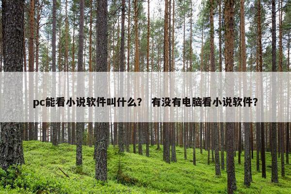 pc能看小说软件叫什么？ 有没有电脑看小说软件？