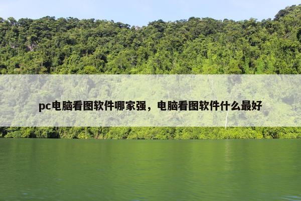 pc电脑看图软件哪家强，电脑看图软件什么最好