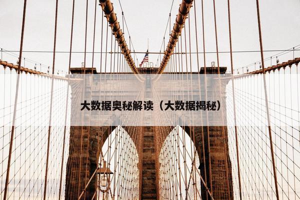 大数据奥秘解读（大数据揭秘）