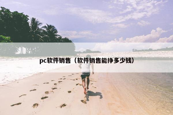 pc软件销售（软件销售能挣多少钱）