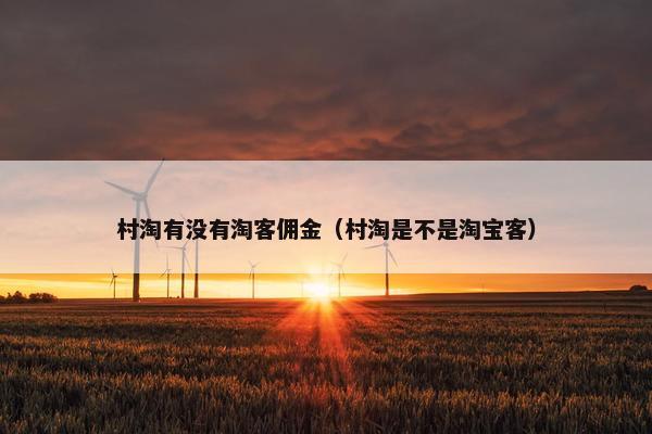 村淘有没有淘客佣金（村淘是不是淘宝客）