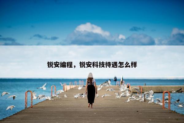 锐安编程，锐安科技待遇怎么样