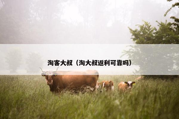 淘客大叔（淘大叔返利可靠吗）