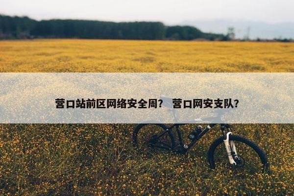 营口站前区网络安全周？ 营口网安支队？