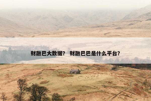 财融巴大数据？ 财融巴巴是什么平台？