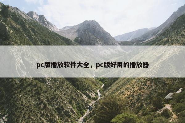 pc版播放软件大全，pc版好用的播放器
