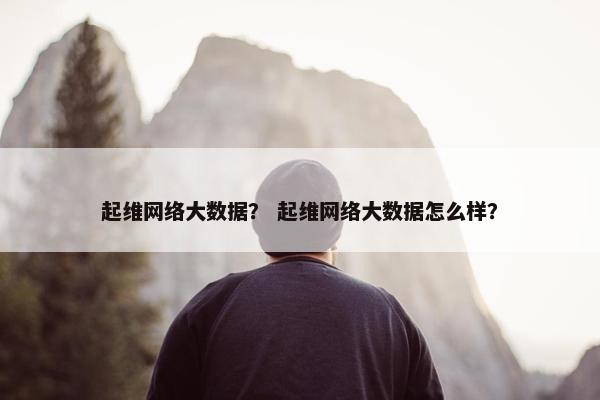起维网络大数据？ 起维网络大数据怎么样？