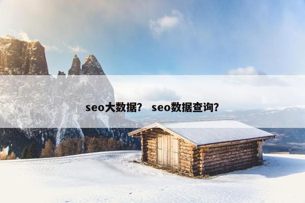 seo大数据？ seo数据查询？