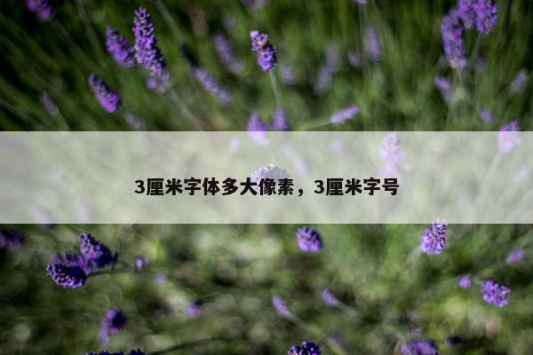 3厘米字体多大像素，3厘米字号