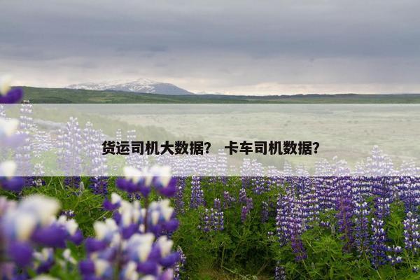 货运司机大数据？ 卡车司机数据？