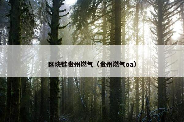 区块链贵州燃气（贵州燃气oa）