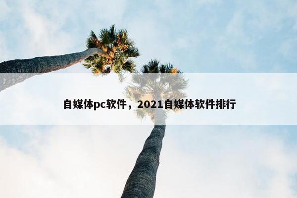 自媒体pc软件，2021自媒体软件排行