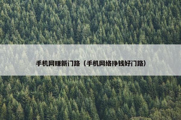 手机网赚新门路（手机网络挣钱好门路）