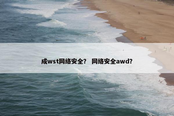 成wst网络安全？ 网络安全awd？