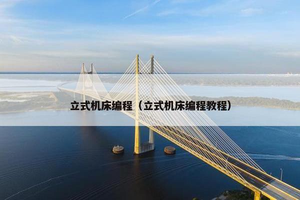 立式机床编程（立式机床编程教程）