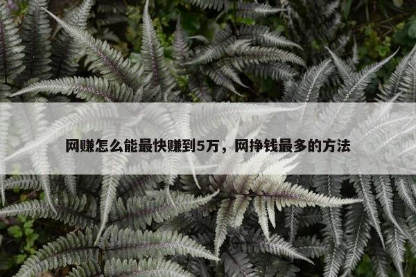 网赚怎么能最快赚到5万，网挣钱最多的方法