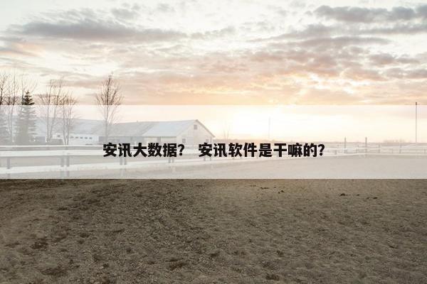 安讯大数据？ 安讯软件是干嘛的？