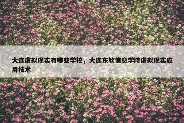 大连虚拟现实有哪些学校，大连东软信息学院虚拟现实应用技术