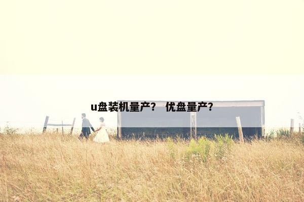 u盘装机量产？ 优盘量产？