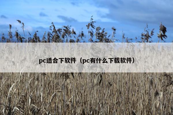 pc适合下软件（pc有什么下载软件）