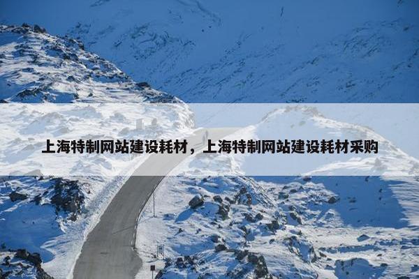 上海特制网站建设耗材，上海特制网站建设耗材采购