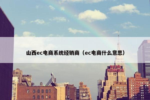 山西ec电商系统经销商（ec电商什么意思）