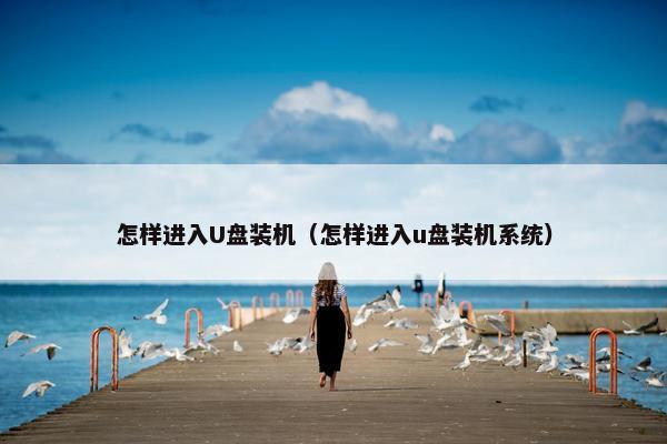 怎样进入U盘装机（怎样进入u盘装机系统）