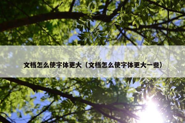 文档怎么使字体更大（文档怎么使字体更大一些）