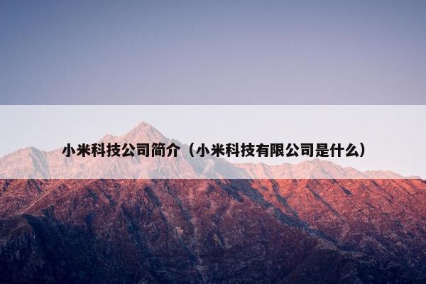 小米科技公司简介（小米科技有限公司是什么）