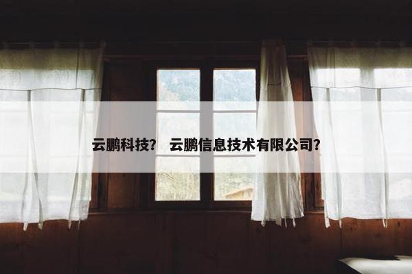 云鹏科技？ 云鹏信息技术有限公司？