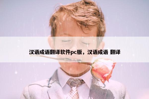 汉语成语翻译软件pc版，汉语成语 翻译