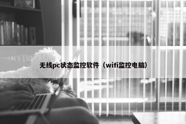 无线pc状态监控软件（wifi监控电脑）