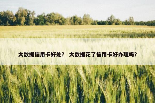 大数据信用卡好处？ 大数据花了信用卡好办理吗？