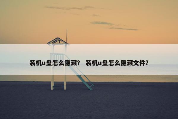 装机u盘怎么隐藏？ 装机u盘怎么隐藏文件？