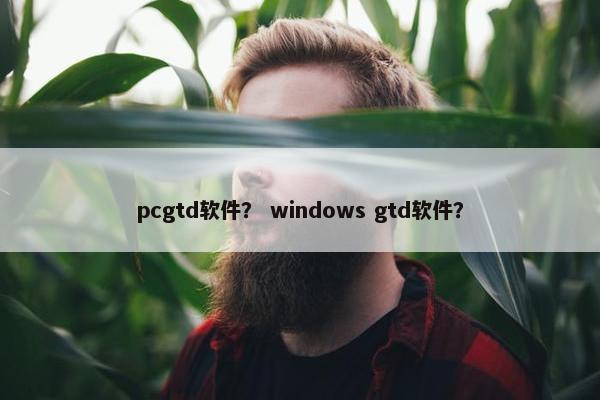 pcgtd软件？ windows gtd软件？