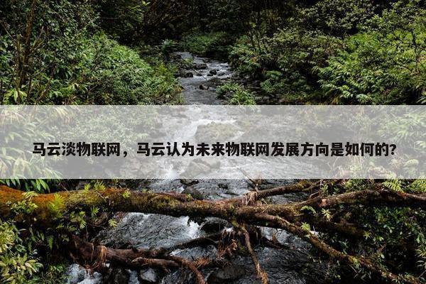 马云淡物联网，马云认为未来物联网发展方向是如何的?
