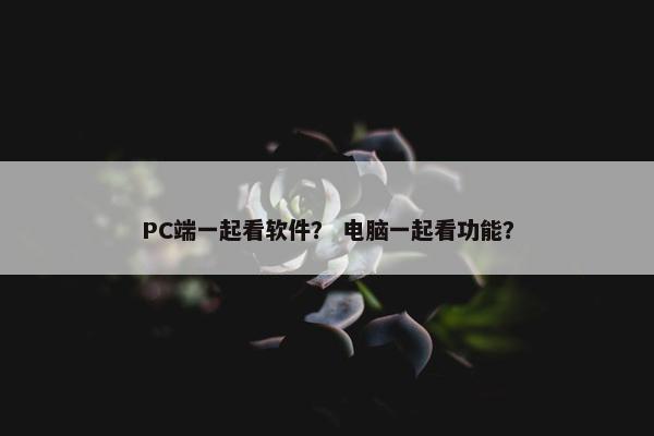 PC端一起看软件？ 电脑一起看功能？