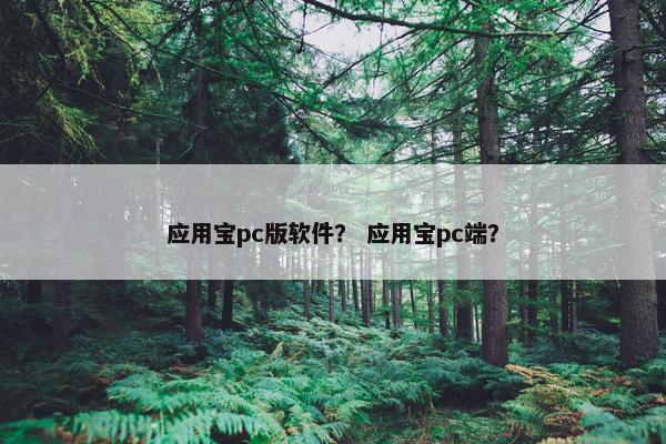应用宝pc版软件？ 应用宝pc端？