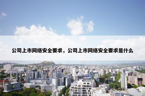 公司上市网络安全要求，公司上市网络安全要求是什么