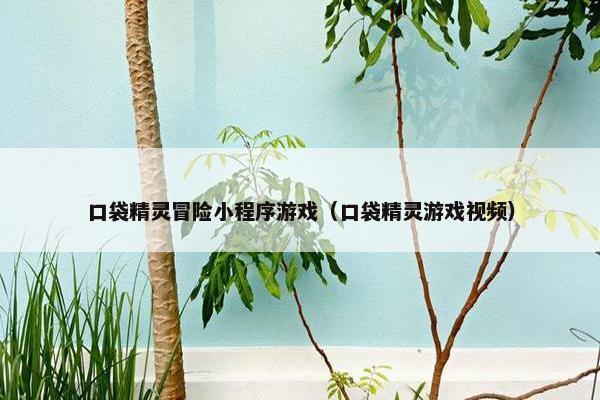 口袋精灵冒险小程序游戏（口袋精灵游戏视频）