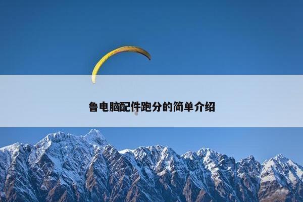 鲁电脑配件跑分的简单介绍