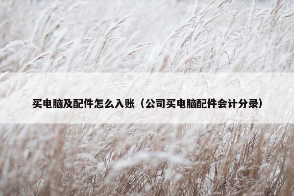买电脑及配件怎么入账（公司买电脑配件会计分录）